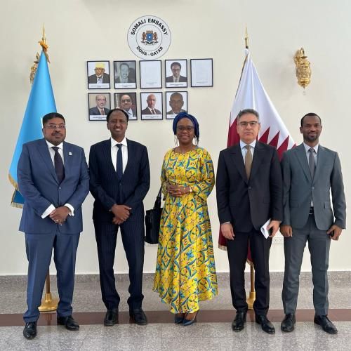 Reuniao do bureau do grupo africano para preparacao das festividades alusivas ao dia da africa 2025
