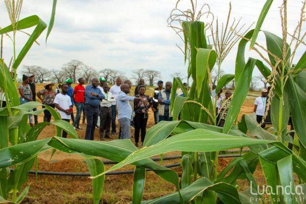 SHOWROOM PROMOVE COOPERAÇÃO EM NEGÓCIOS NO SECTOR AGRÍCOLA 23 de Setembro 2024