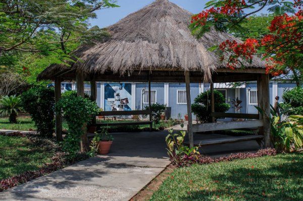 TRABALHO DE CAMPO 14 de Novembro de 2024