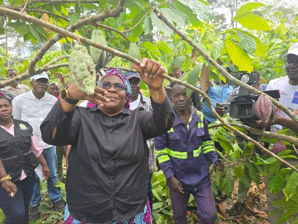 GOVERNADORA PROVINCIAL SUZANA ABREU CONSTATA ACÇÕES AGROPECUÁRIAS NO BUCO-ZAU