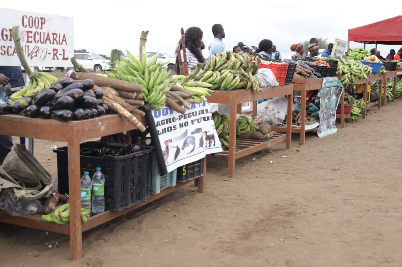 ANO AGRÍCOLA 2025/2026 PROVÍNCIA PODE PRODUZIR 800 MIL TONELADAS DE PRODUTOS DIVERSOS EM 40 MIL HECTARES DE TERRA