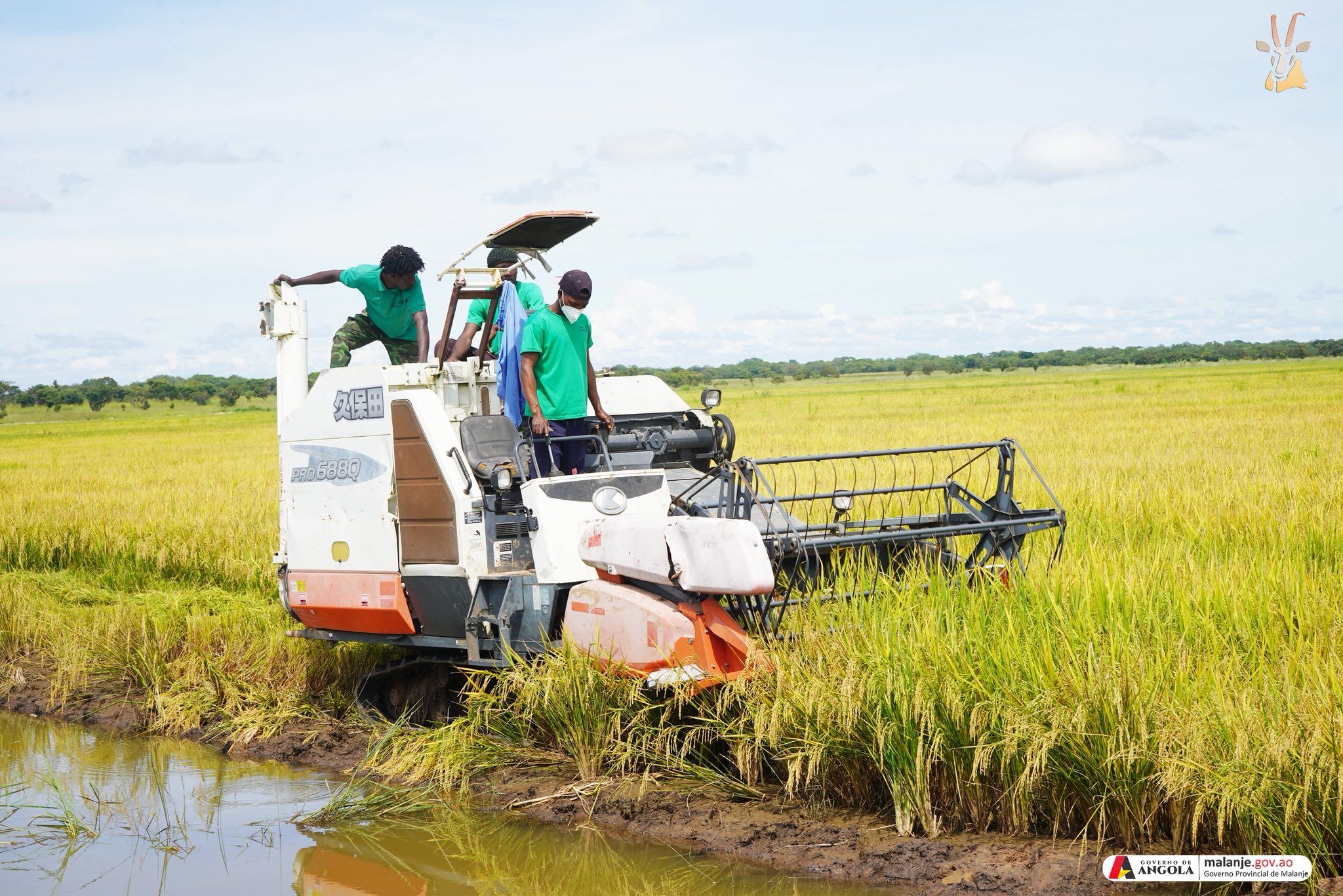 DIFICULDADE NA COMERCIALIZAÇÃO DE ARROZ PRODUZIDO NO LUQUEMBO E EM CAMBUNDI CATEMBO PREOCUPA GOVERNADOR DE MALANJE 