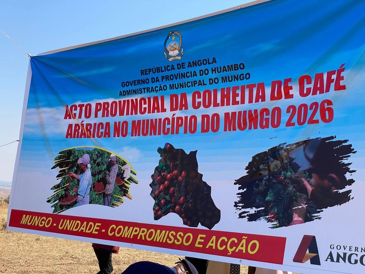 ARRANCOU OFICIALMENTE NO HUAMBO A COLHEITA DO CAFÉ ARÁBICA NO ÂMBITO DO PROGRAMA DE REVITALIZAÇÃO