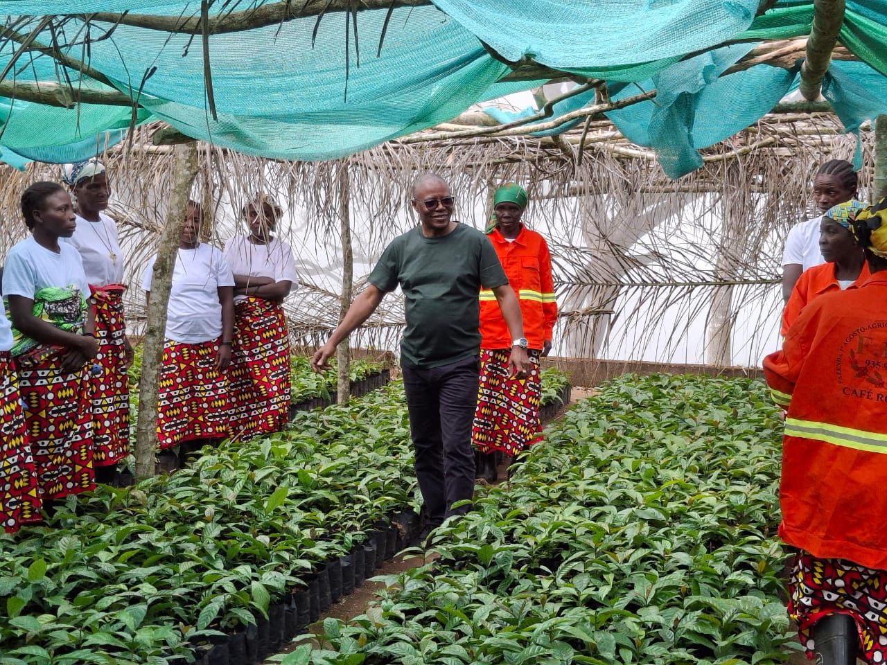 INCA MARCA PRESENÇA NA GABELA EM APOIO AO FORTALECIMENTO DA CADEIA DO CAFÉ 