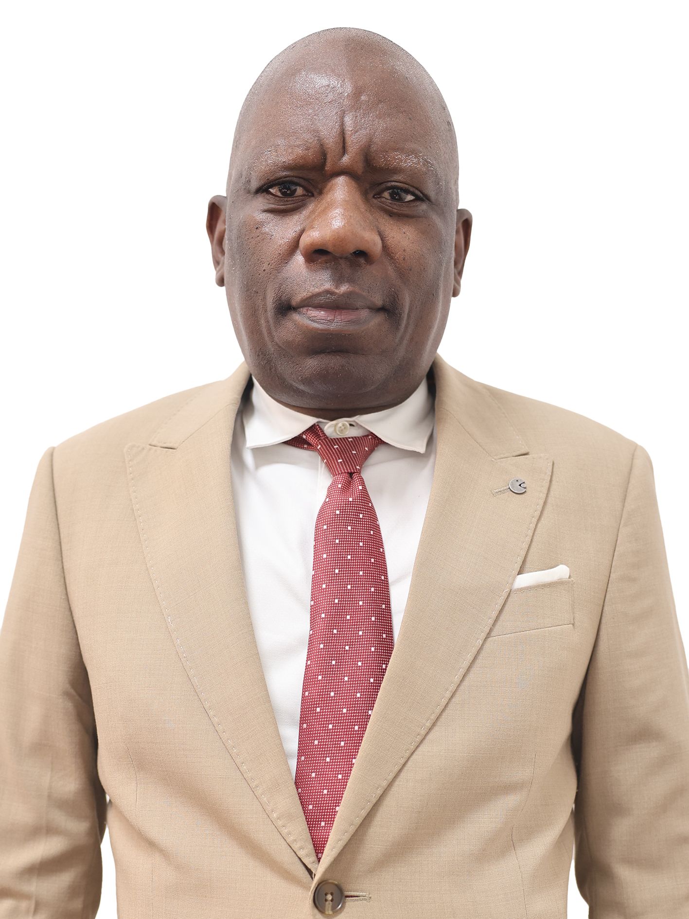 FERNANDO JOAQUIM MANUEL