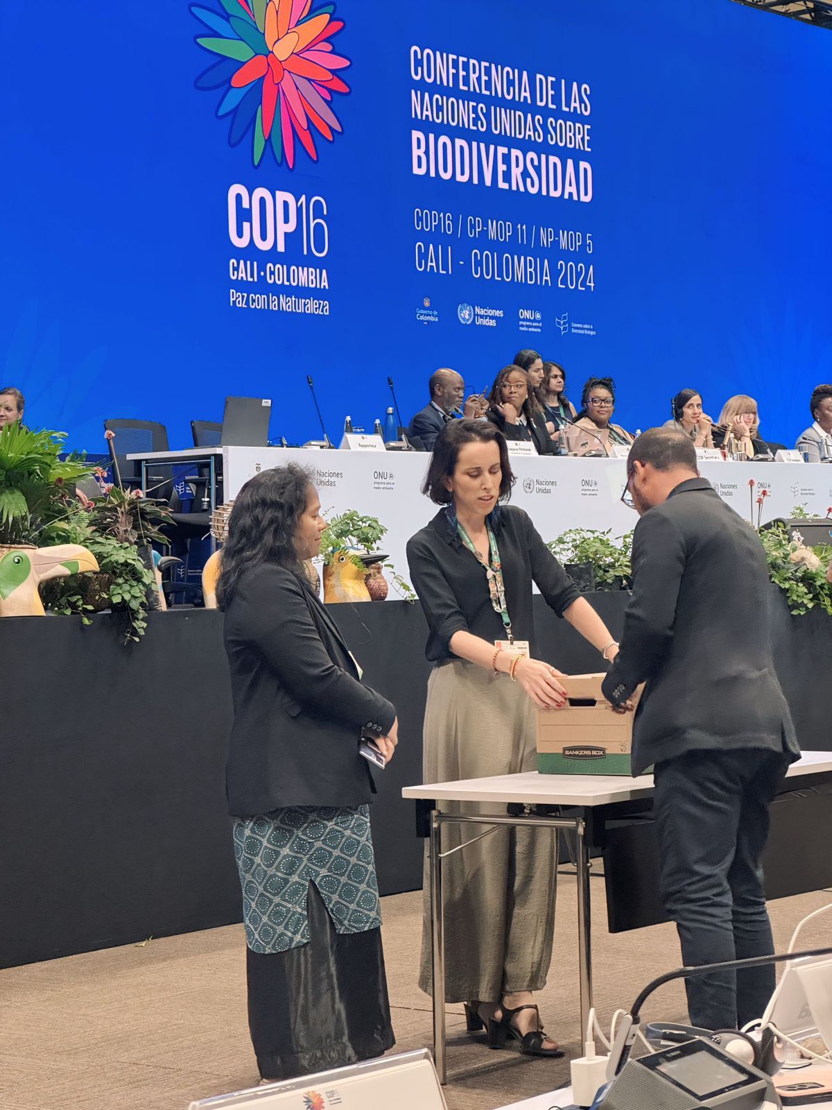 ARMÉNIA ACOLHE CIMEIRA MUNDIAL DA BIODIVERSIDADE EM 2026, COP17