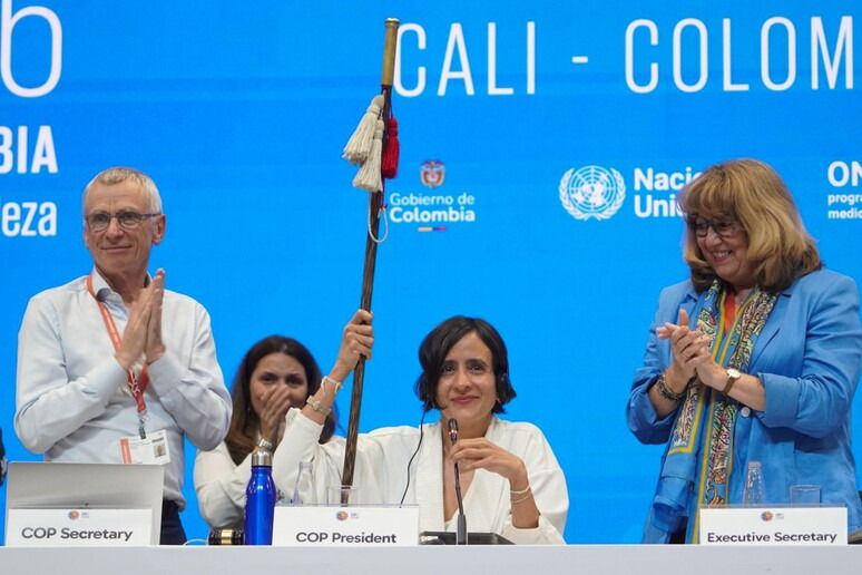 FECHAM-SE AS CORTINAS DA COP16