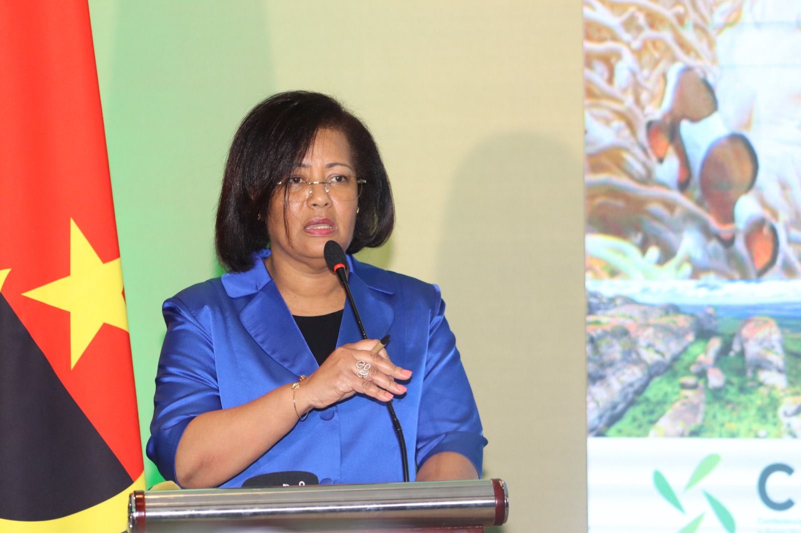 PRÉ-LANÇAMENTO DA CONFERÊNCIA INTERNACIONAL SOBRE A BIODIVERSIDADE E ÁREAS DE CONSERVAÇÃO (CIBAC), EM LUANDA