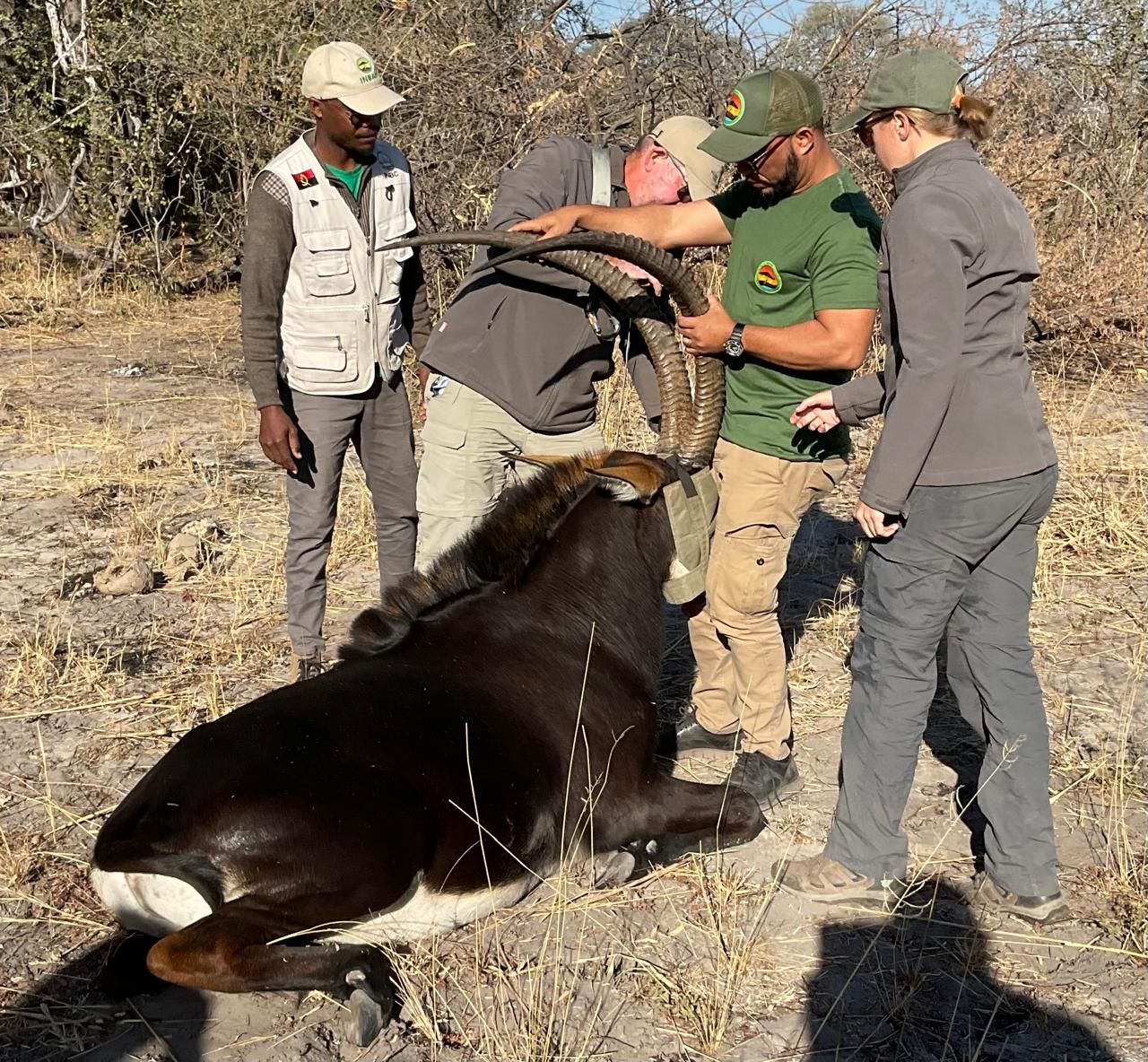 MINISTÉRIO DO AMBIENTE, REALIZA OPERAÇÃO DE MONITORAMENTO Da VIDA SELVAGEM NO PARQUE NACIONAL DO LUENGUE-LUIANA