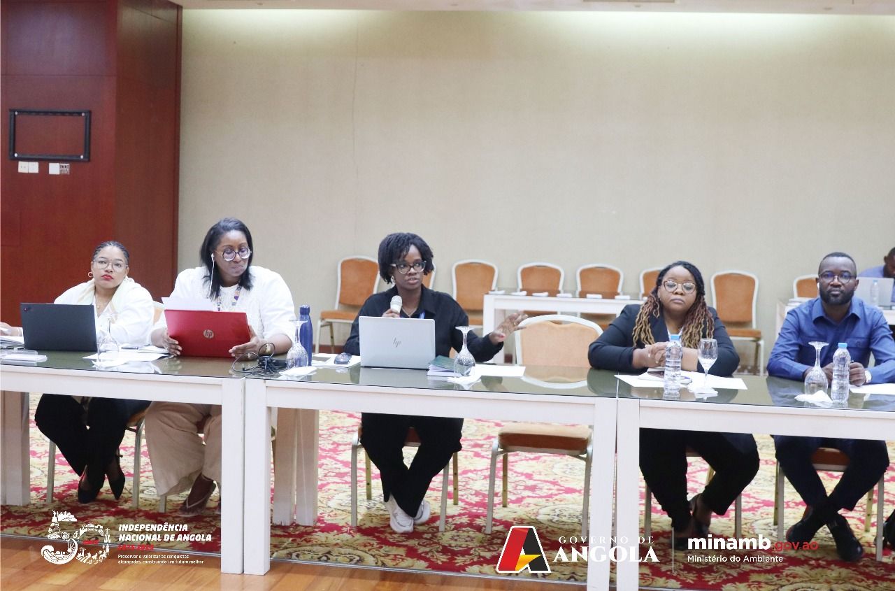 ANGOLA PREPARA SUA PARTICIPAÇÃO NA COP30
