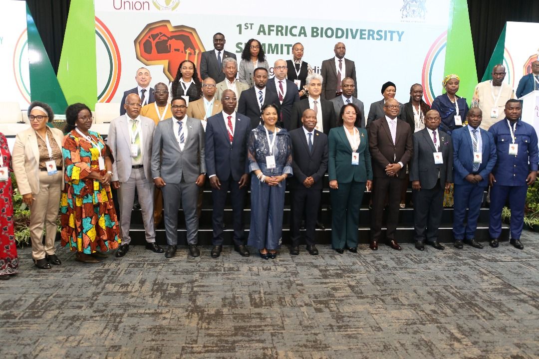 ANGOLA LIDERA ABERTURA DA REUNIÃO MINISTERIAL DA PRIMEIRA CIMEIRA AFRICANA SOBRE A BIODIVERSIDADE.