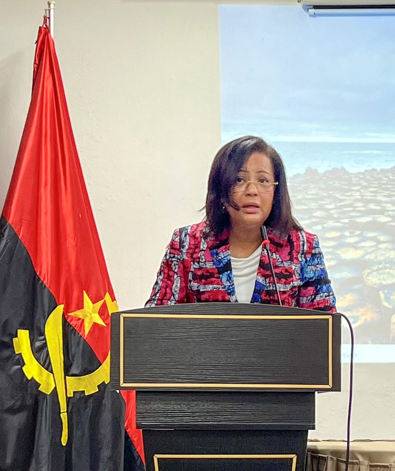 CONSELHO TÉCNICO DO MINISTÉRIO DO AMBIENTE ABORDA ESTADO DO SECTOR NAS PROVÍNCIAS.