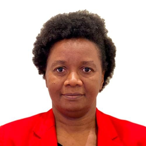 Maria Celina A. P. Fernandes