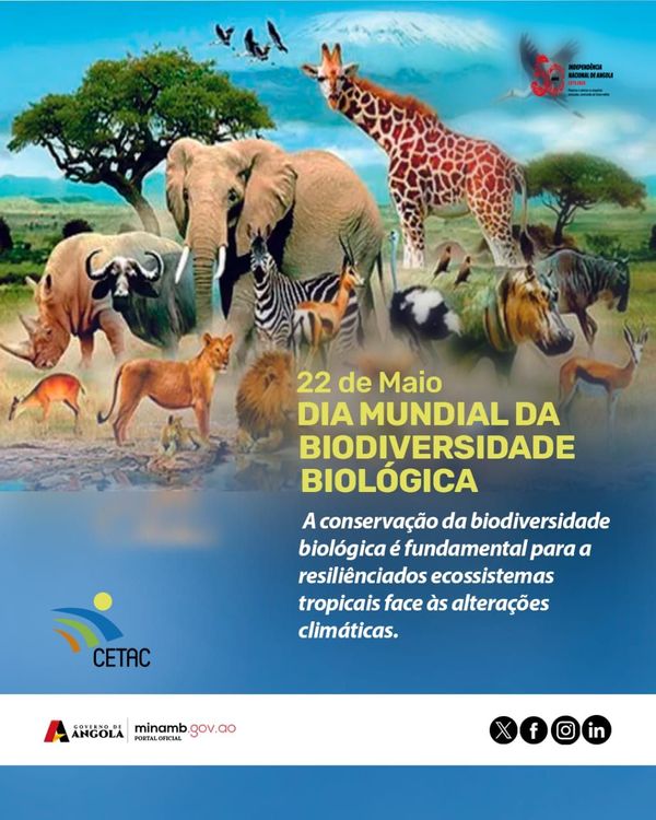 Dia Internacional da Biodiversidade Biológica (ou Dia Mundial da Biodiversidade