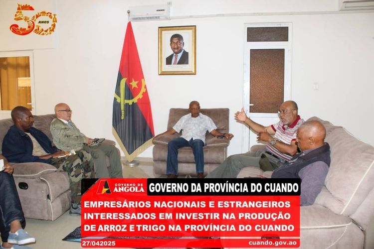 Notícia