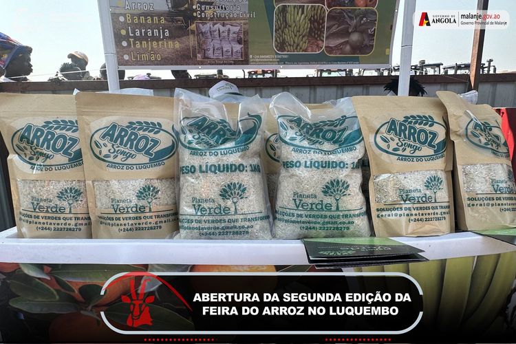Notícia