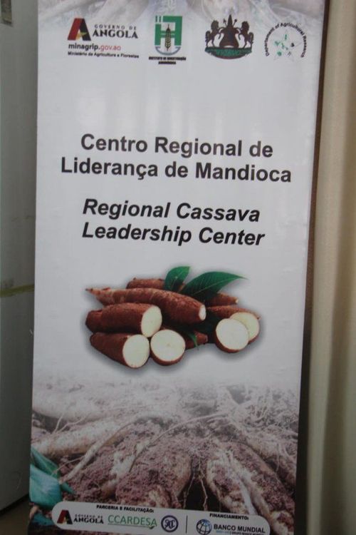 Notícia