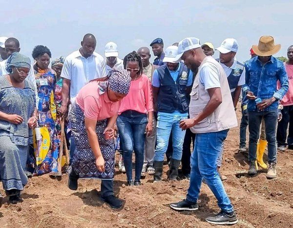 CUANZA SUL PROCURA MANTER LIDERANÇA NA PRODUÇÃO DE CAFÉ A NÍVEL NACIONAL